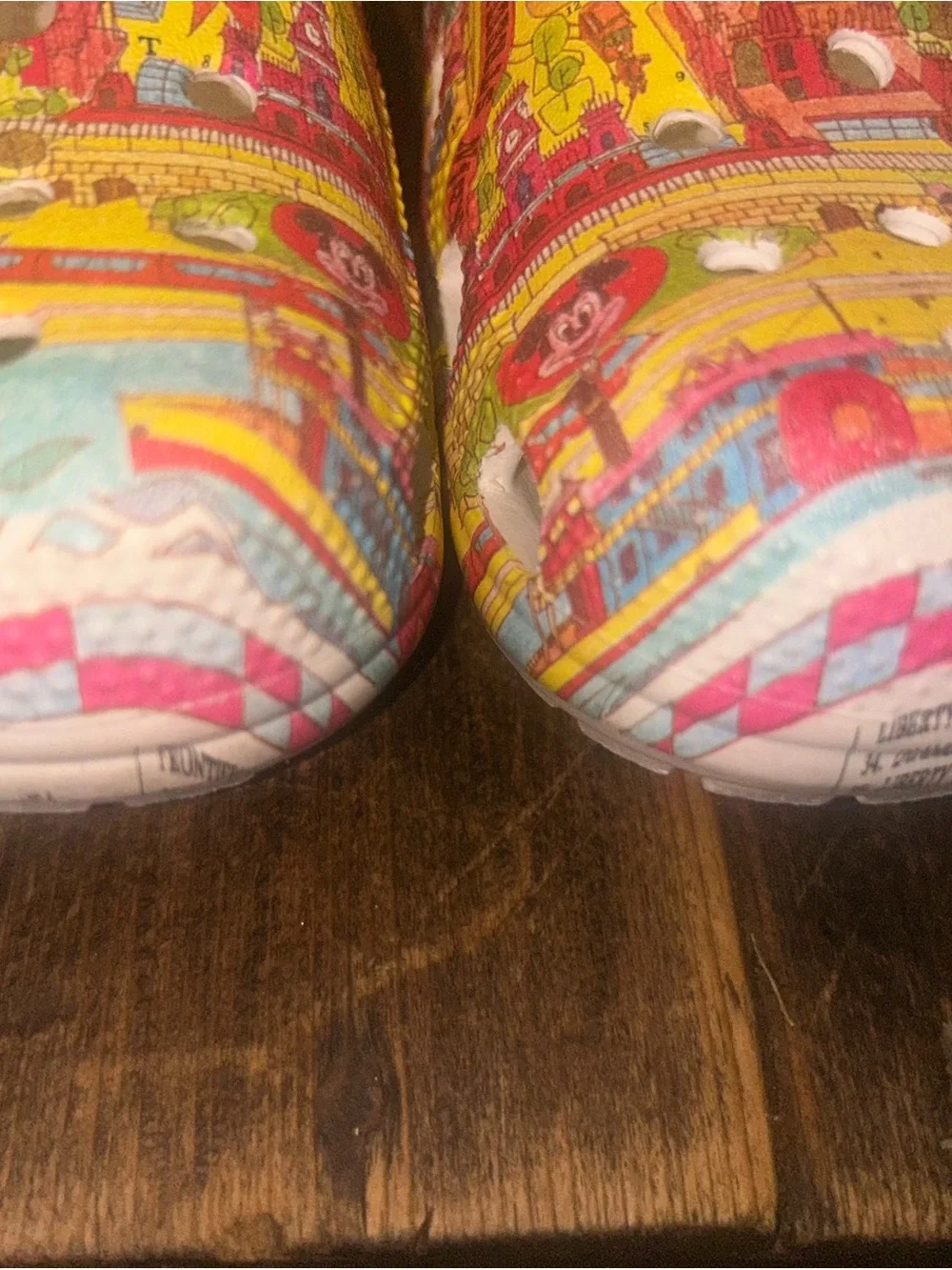 Walt Disney World Map Clogs for Adults by Crocs US Size 6